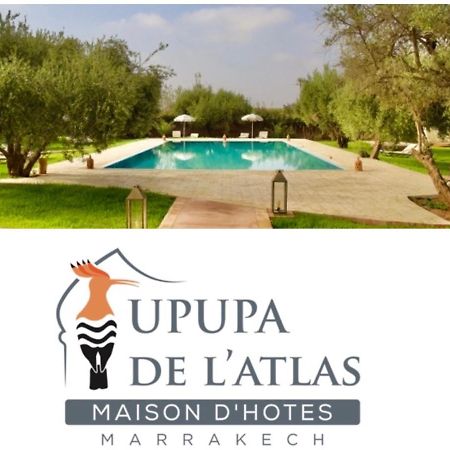 Upupa De L'Atlas Ouled el guerne Esterno foto