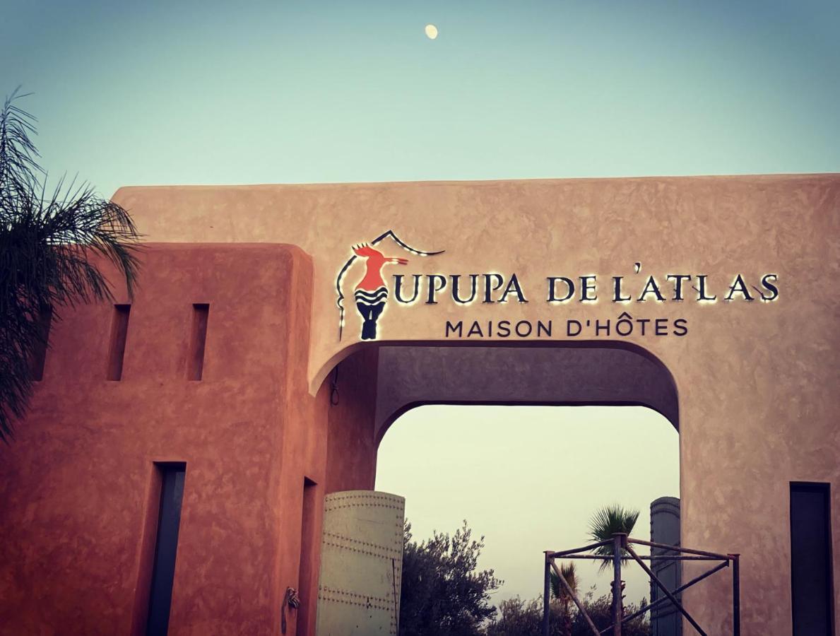 Upupa De L'Atlas Ouled el guerne Esterno foto
