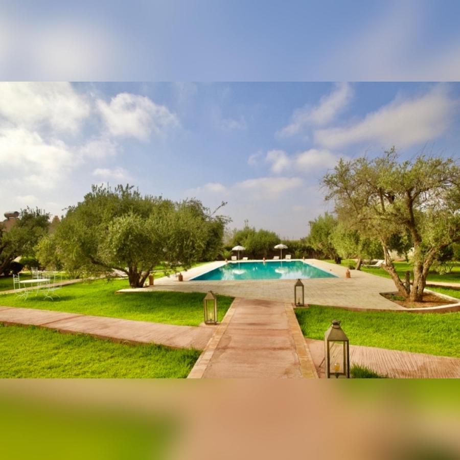 Upupa De L'Atlas Ouled el guerne Esterno foto