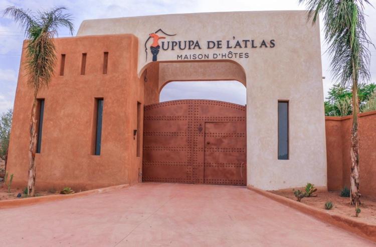 Upupa De L'Atlas Ouled el guerne Esterno foto